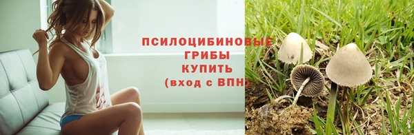 соль курить ск Арсеньев