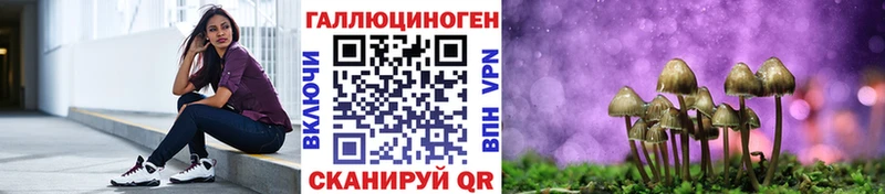 Псилоцибиновые грибы Cubensis  закладки  Калачинск 