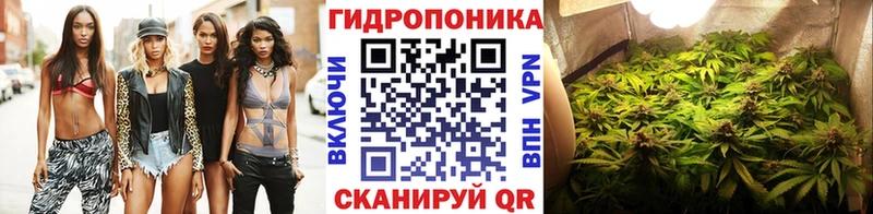 Бошки марихуана планчик Калачинск